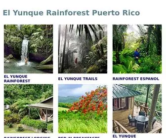 Elyunque.com(Puerto Rico El Yunque rainforest and beaches Travel Guide with hotels and rain forest lodging) Screenshot