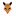 Elzorrofronterizo.com Favicon