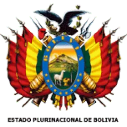 Embajadadebolivia.it Favicon
