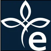 Emblasoft.com Favicon