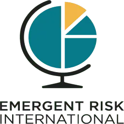 Emergentriskinternational.com Favicon