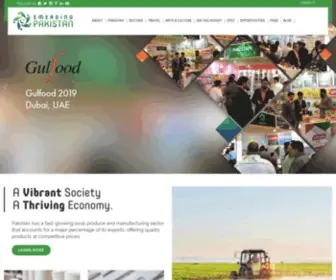 Emergingpakistan.gov.pk(Emerging Pakistan) Screenshot
