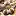 Emilybuehler.com Favicon