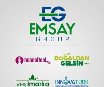 Emsay.site(Emsay Group) Screenshot