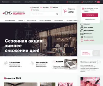 Emscorp.ru(EMS) Screenshot