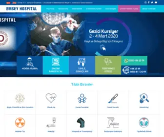 Emseyhospital.com(Emsey Hospital) Screenshot