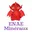 Enaemineraux.com Favicon