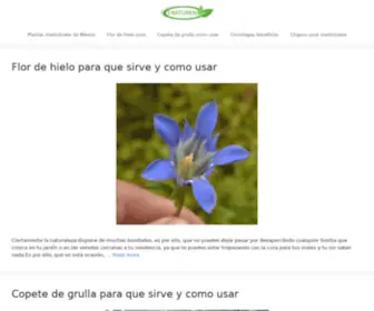 Enaturen.com(Plantas medicinales para tu salud) Screenshot