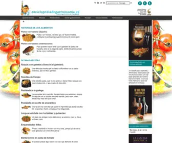 Enciclopediadegastronomia.es(Enciclopedia de Gastronomía) Screenshot