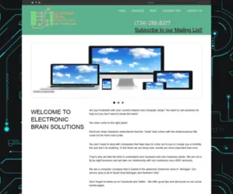 Endcomputerproblems.com(Electronic Brain Solutions) Screenshot