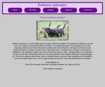 Endeavorlabradors.com(Endeavorlabradors) Screenshot