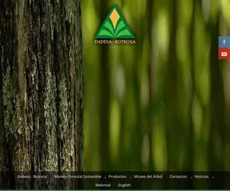 Endesabotrosa.com(Endesa) Screenshot