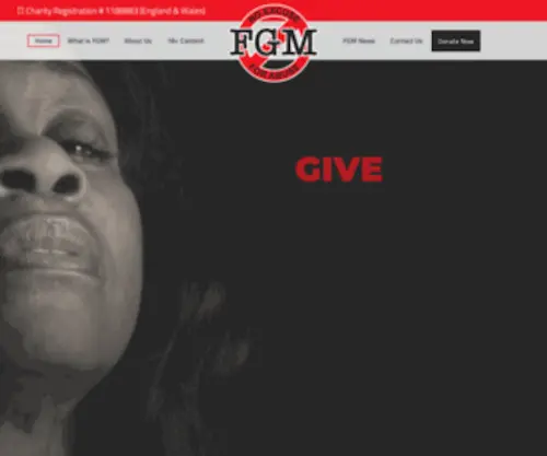 ENDFGM.co.uk(End FGM) Screenshot