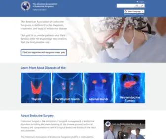 Endocrinediseases.org(The American Association of Endocrine Surgeons PATIENT EDUCATION SITE) Screenshot