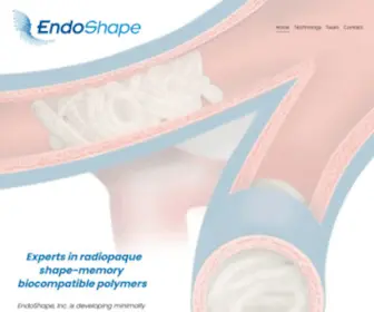 Endoshape.com(Endoshape) Screenshot