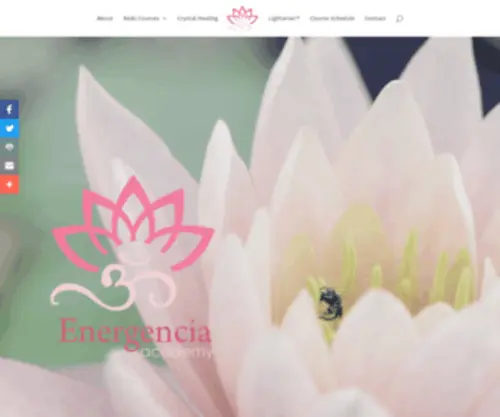 Energencia.co.za(Energencia Academy) Screenshot