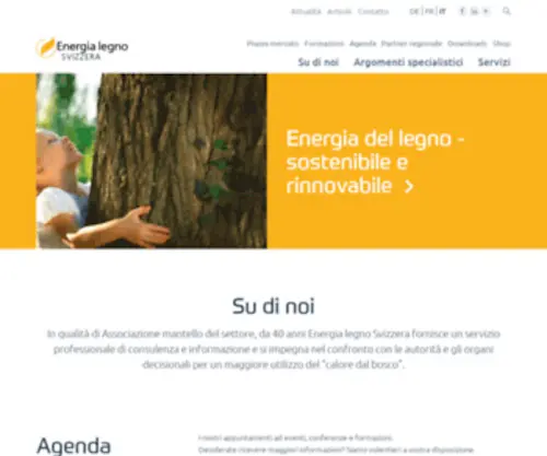 Energia-Legno.ch(Startseite) Screenshot