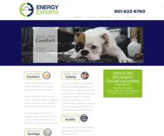 Energyexpertsusa.com(Energy Experts USA) Screenshot