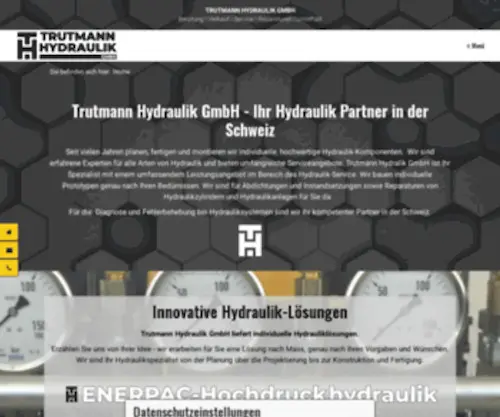 Enerpac.ch(Trutmann Hydraulik GmbH) Screenshot