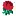 Englandrugbyclubhub.com Favicon