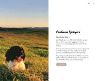 English-Springer-Spaniels.com(Ponderosa Springers) Screenshot