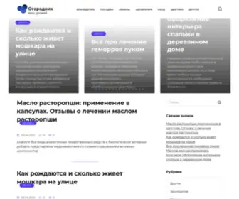 English-USA.ru(Срок) Screenshot