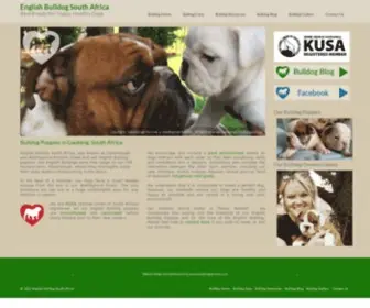 Englishbulldogsa.co.za(Bulldog Puppies in South Africa) Screenshot