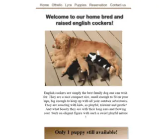 Englishcockerdogs.com(Englishcockerdogs) Screenshot