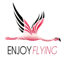 Enjoy-Flying.com Favicon