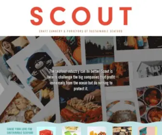 Enjoyscout.com(Scout USA) Screenshot