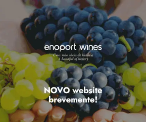 Enoport.pt(Nascemos da união de várias empresas vitivinícolas com uma paixão) Screenshot