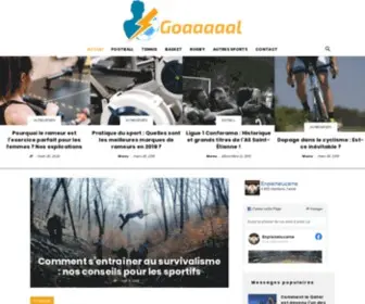Enpleinelucarne.net(Votre Webzine Sport) Screenshot