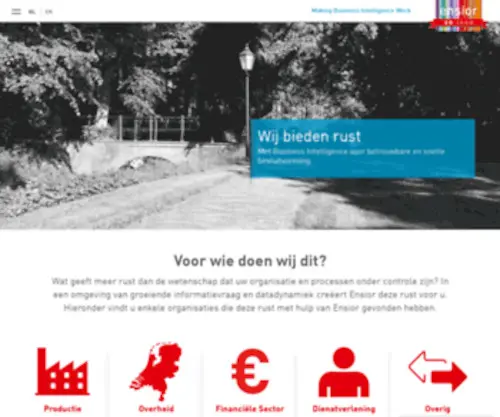 Ensior.com(Making Business Intelligence Work) Screenshot