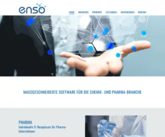 Enso-Software.com(Enso Software) Screenshot