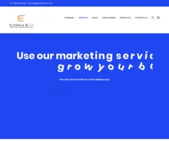 Entellusco.com(Digital Marketing Company in India) Screenshot