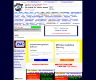 Enterpriseresourceplanning101.com(大发welcome网站) Screenshot