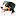 Entlebuchersennenhunde.ch Favicon