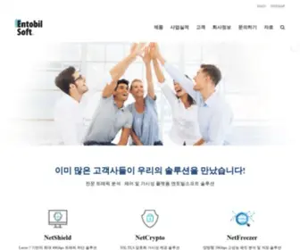 Entobilsoft.com(전문 트래픽 분석) Screenshot