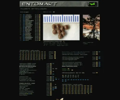 Entomart.be(Collection de photographies d'insectes destinées à l'enseignement et la recherche) Screenshot