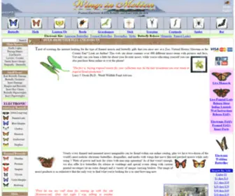 Entomon.net(Framed, Electronic and Live Butterfly and Insect Gifts for Sale) Screenshot