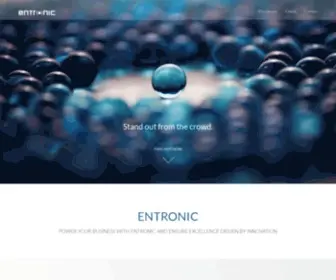 Entronic.com(Expert software) Screenshot
