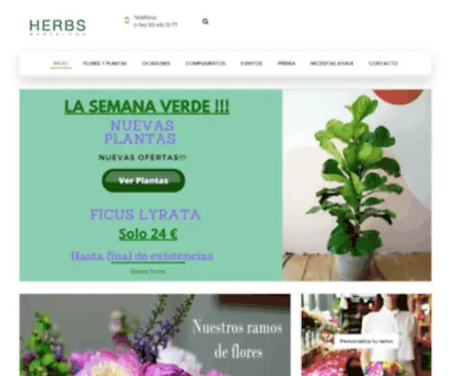 Enviarfloresbarcelona.es(Floristería Barcelona HERBS) Screenshot