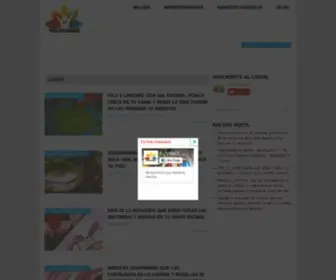 Envidasaludable.com(Vida Saludable) Screenshot