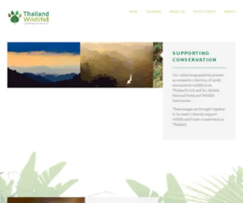 Envirosea.org(Photography in Asia) Screenshot