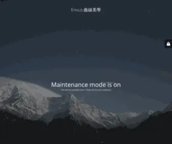Envus.com.hk(Envus 曲線美學) Screenshot