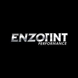 Enzotint.com.my Favicon