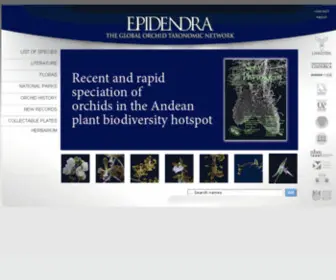 Epidendra.org(THE GLOBAL ORCHID TAXONOMIC NETWORK) Screenshot