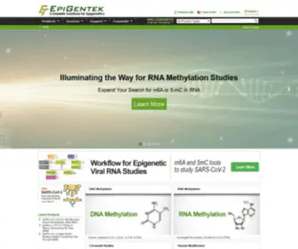 Epigentek.com(Complete Solutions for Epigenetics) Screenshot