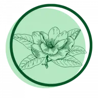 Epinedefrance.net Favicon