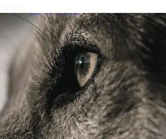 EpoqPartners.com(EPOQ PARTNERS) Screenshot